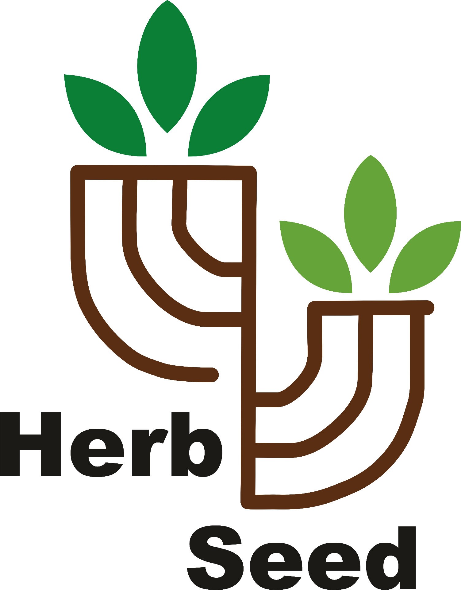 4_Herb See